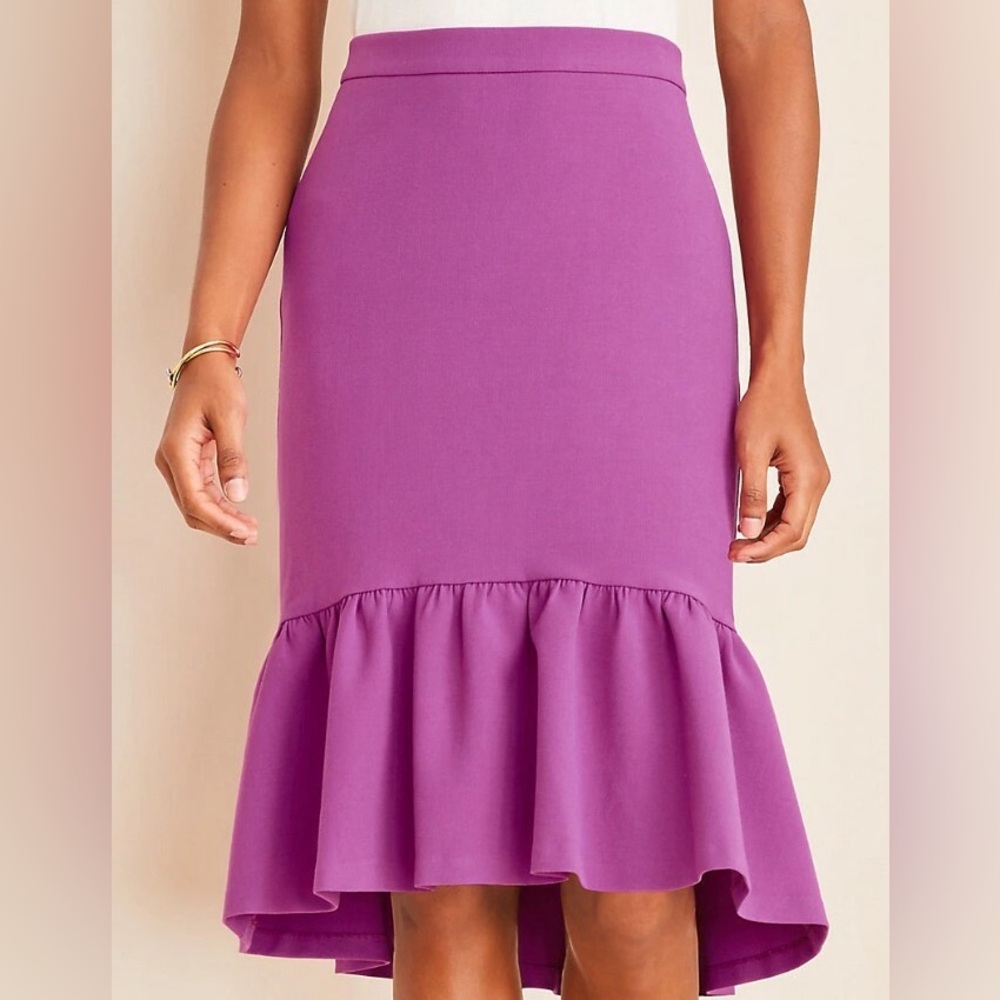 Ann Taylor Skirt